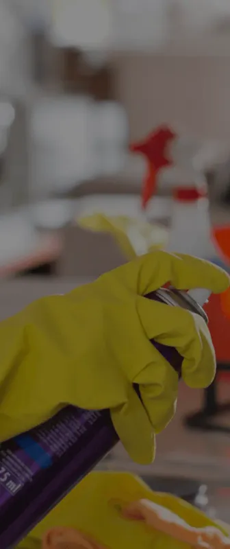 Reliable Residential & Commercial Cleaning in Santa Ana, CA